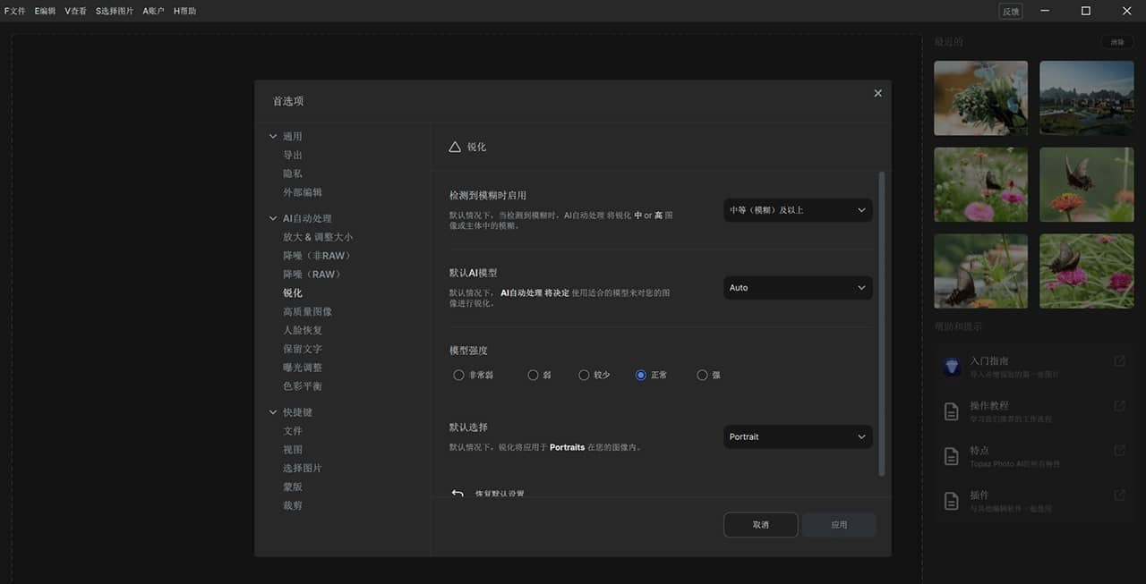 Topaz Photo AI v3.0.1 中文便携免安装版(集成离线模型 去除升级提示完整版)-安卿辰博客